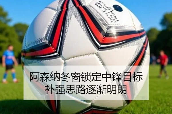 阿森纳冬窗锁定中锋目标 补强思路逐渐明朗（AG）